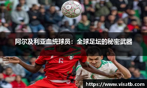 bsports必一登录入口